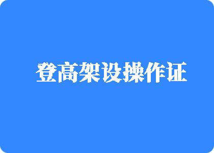 操屄视频网页免费登高架设操作证