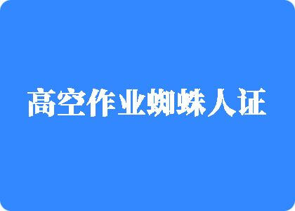 免费三级女人操逼的高空作业蜘蛛人证